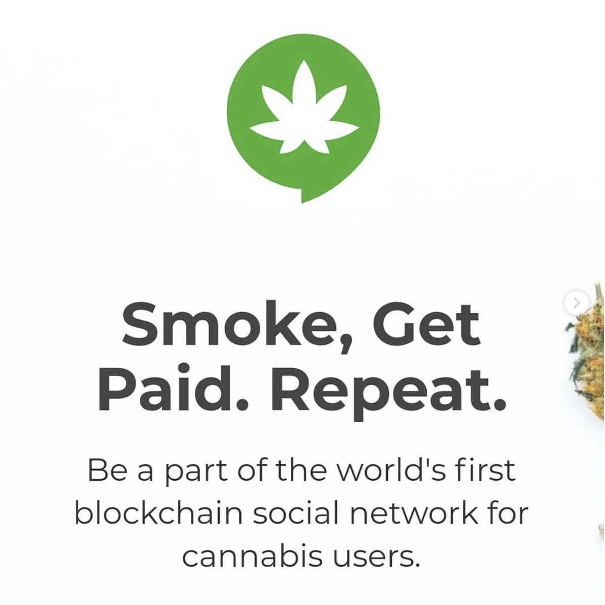 smoke network.png