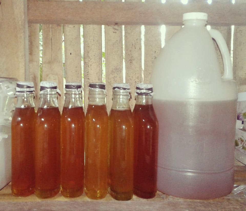 27 harvested honey.jpg