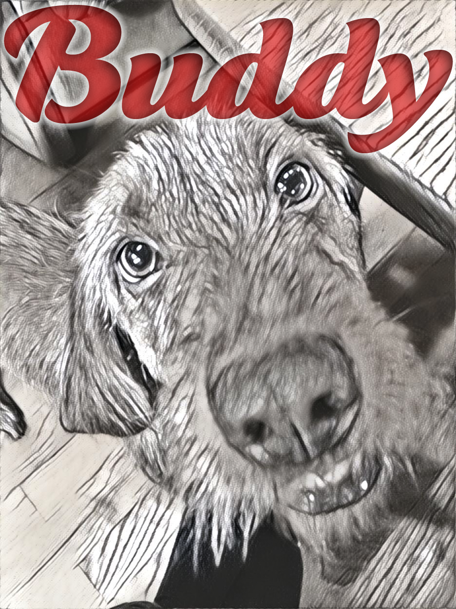 Buddy-IMG_0995.png