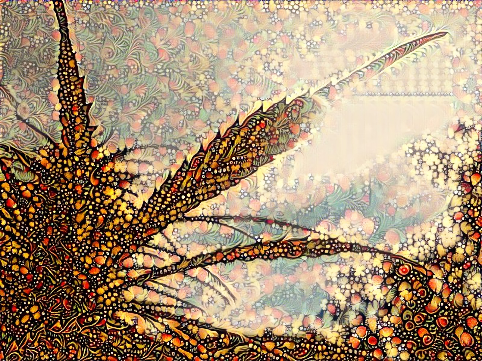 cannaedit dreamscope01.jpg