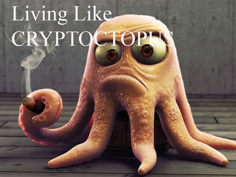 cryptoctopus.jpg