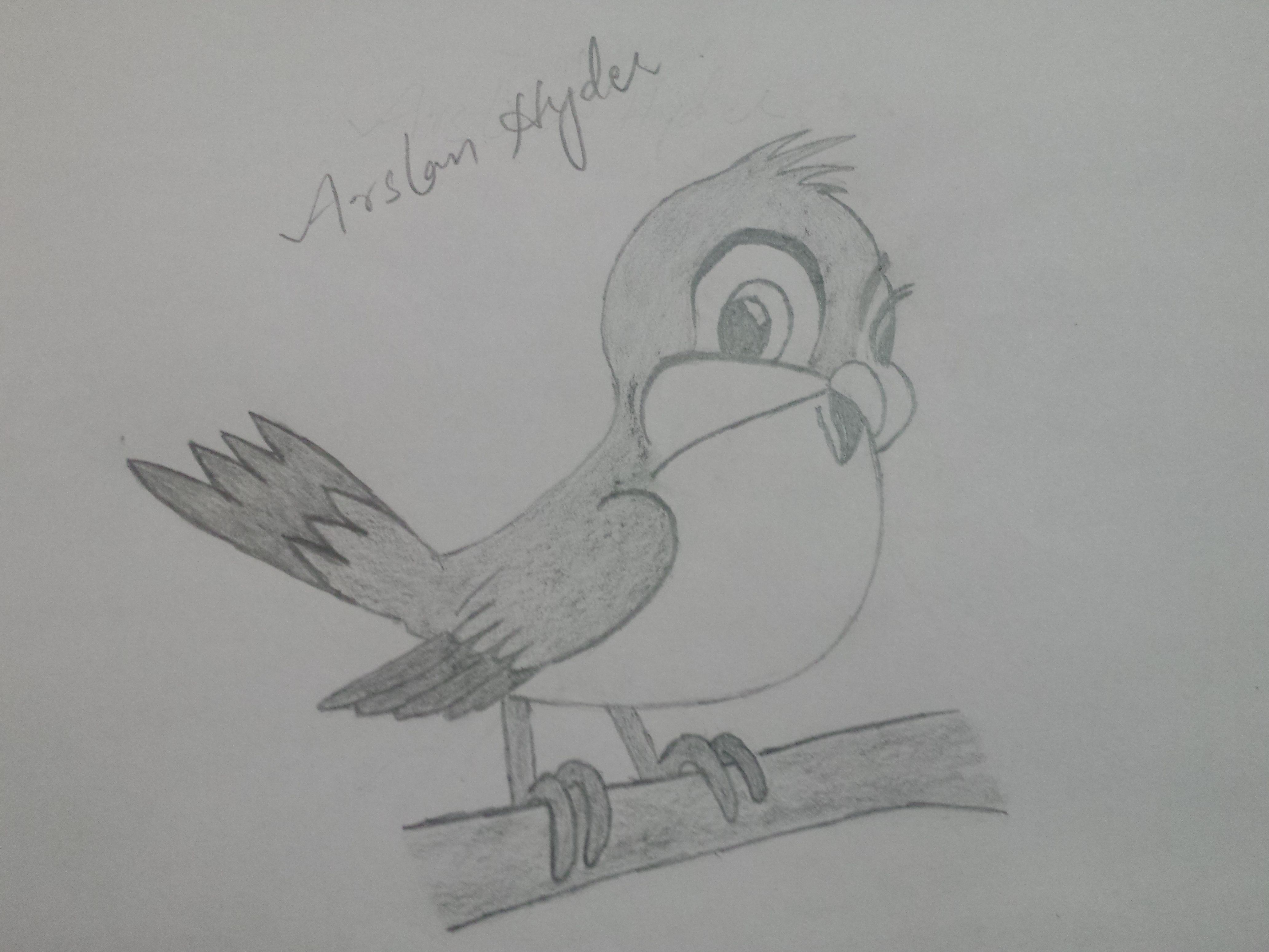 My second cartoon character pencil sketch. Its a cute little bird. — Steemit