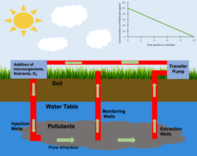 800px-In_Situ_Bioremediation.png