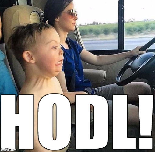 hodl.jpeg