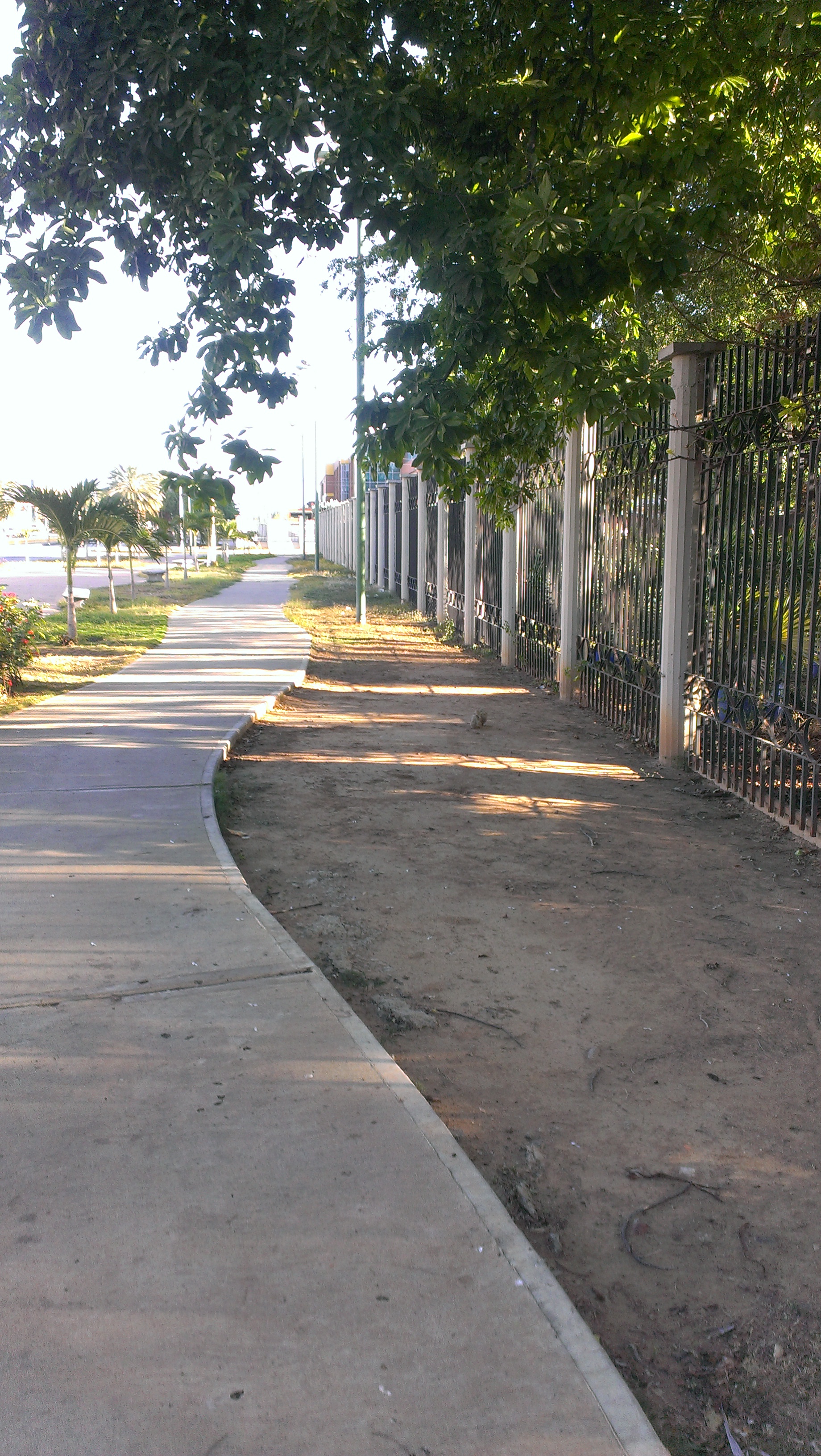 IMAG0315.jpg
