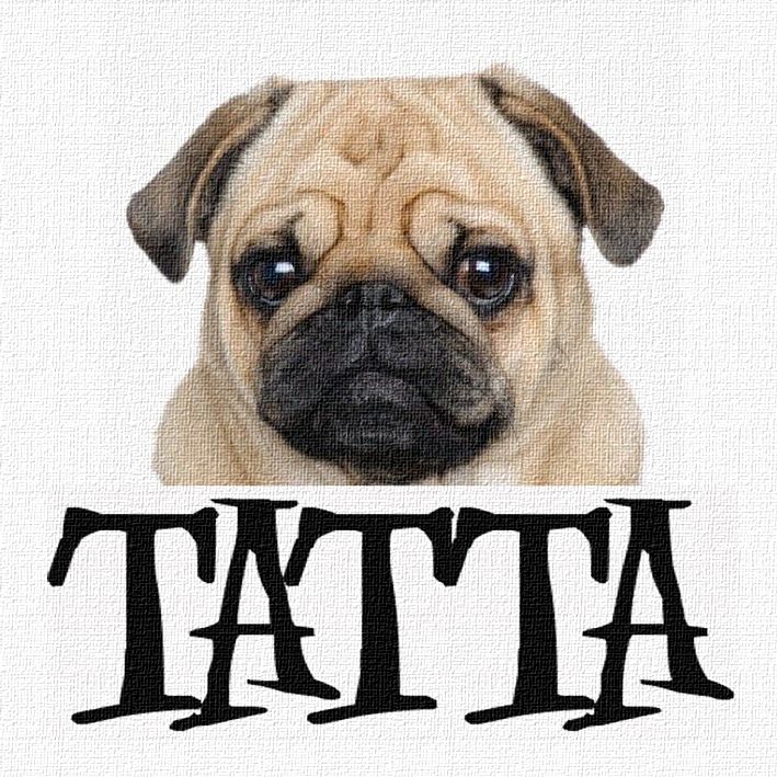 TATTA Pug Final.jpg