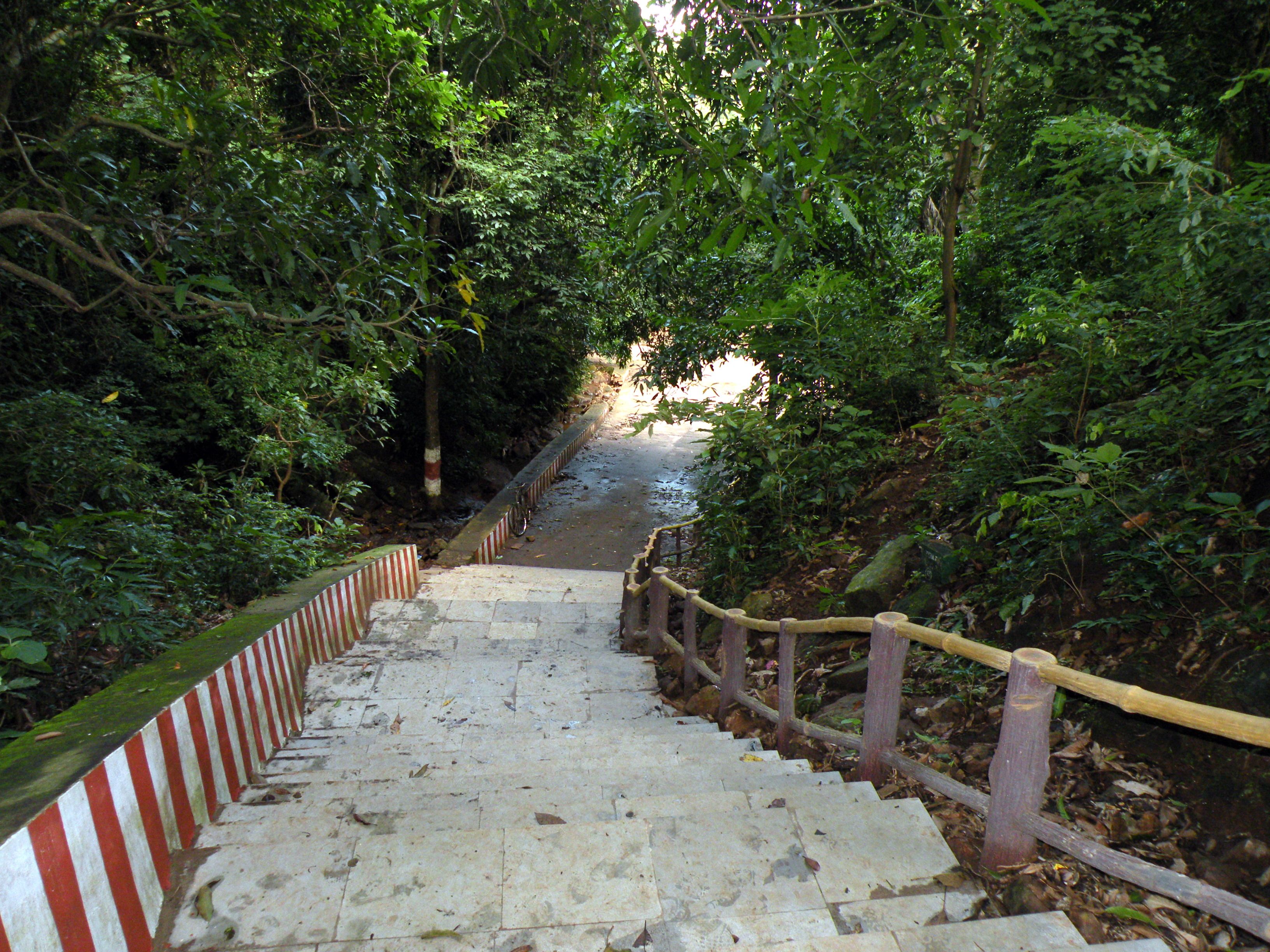dscn3783.jpg