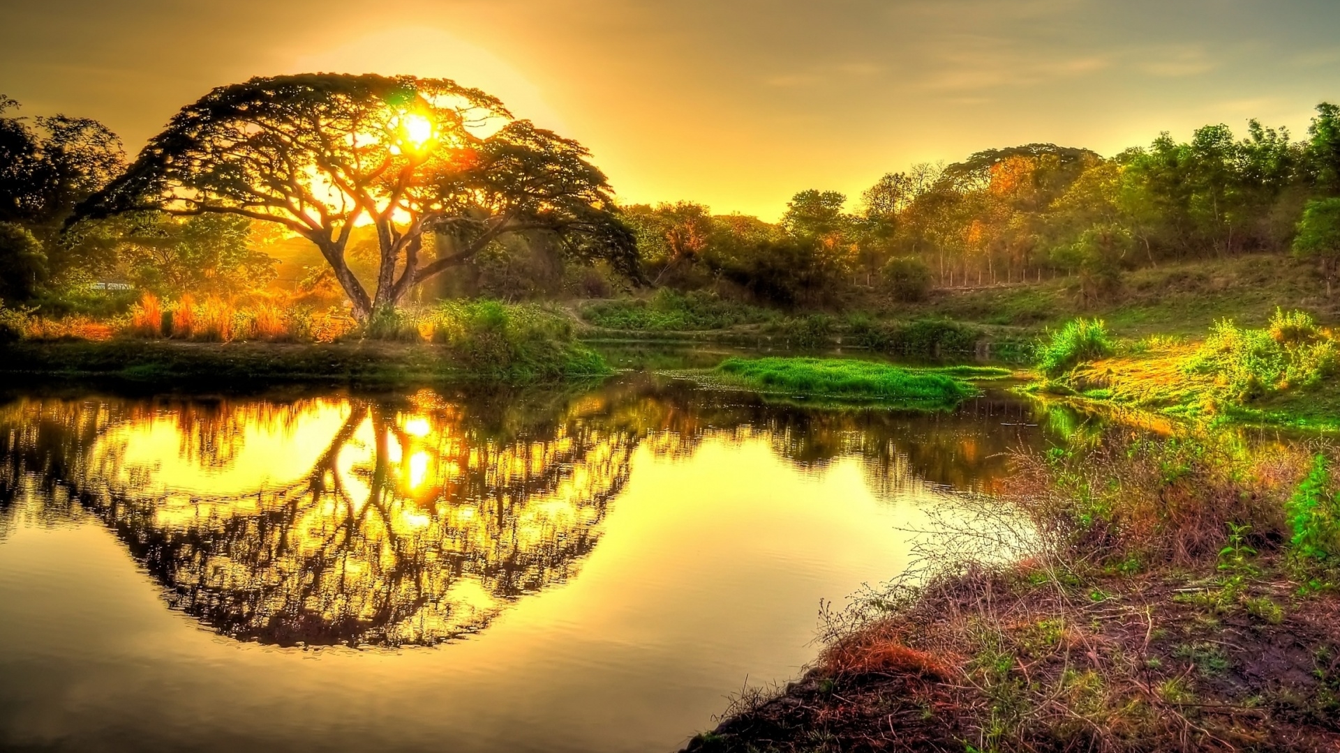 《飞鸟与夏花》每天一首自译飞鸟集（13）- Translate a poem form Stray Birds to Chinese every day