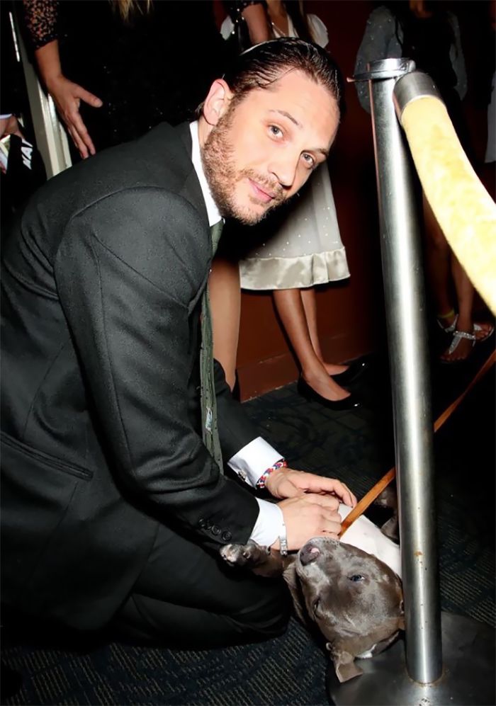 love-for-dogs-tom-hardy-30-59bf88f27c454__700.jpg