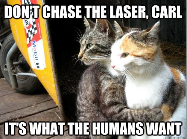 cat-meme-laser.jpg