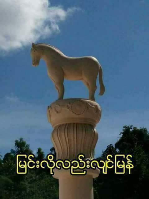 FB_IMG_1502164392521.jpg