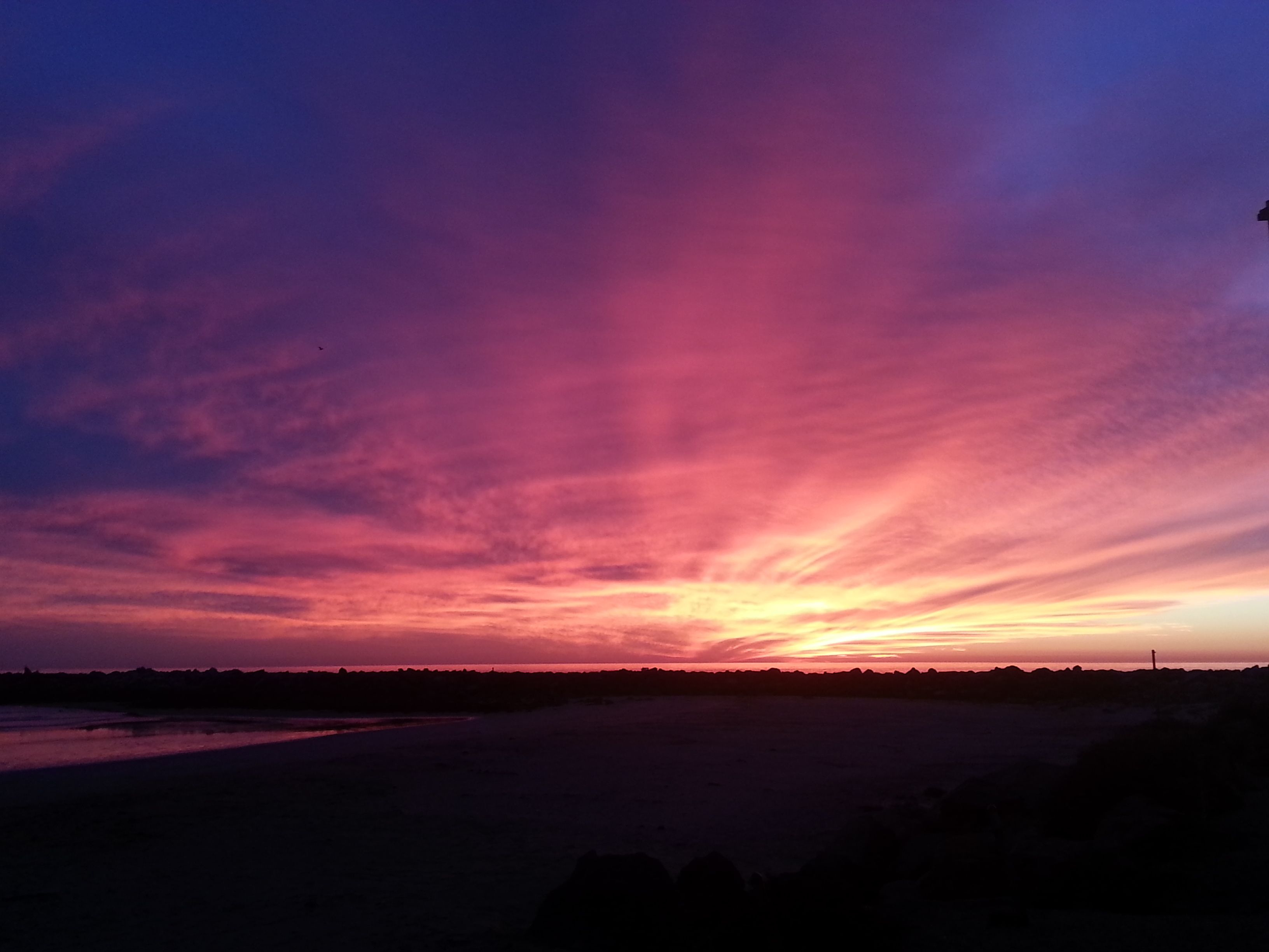 Purple and Pink Beach Sunset.jpg