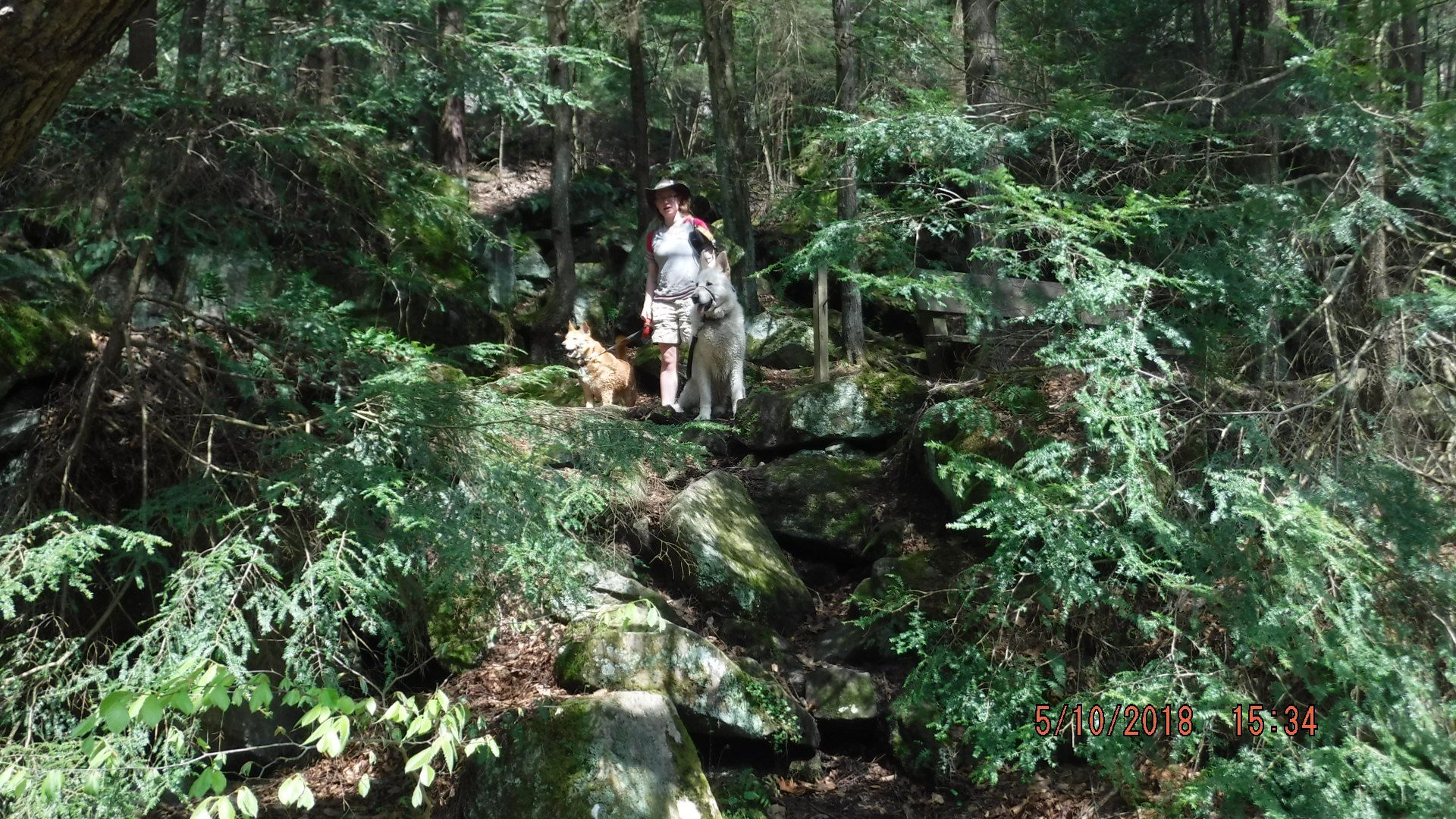 DSCF5597.JPG