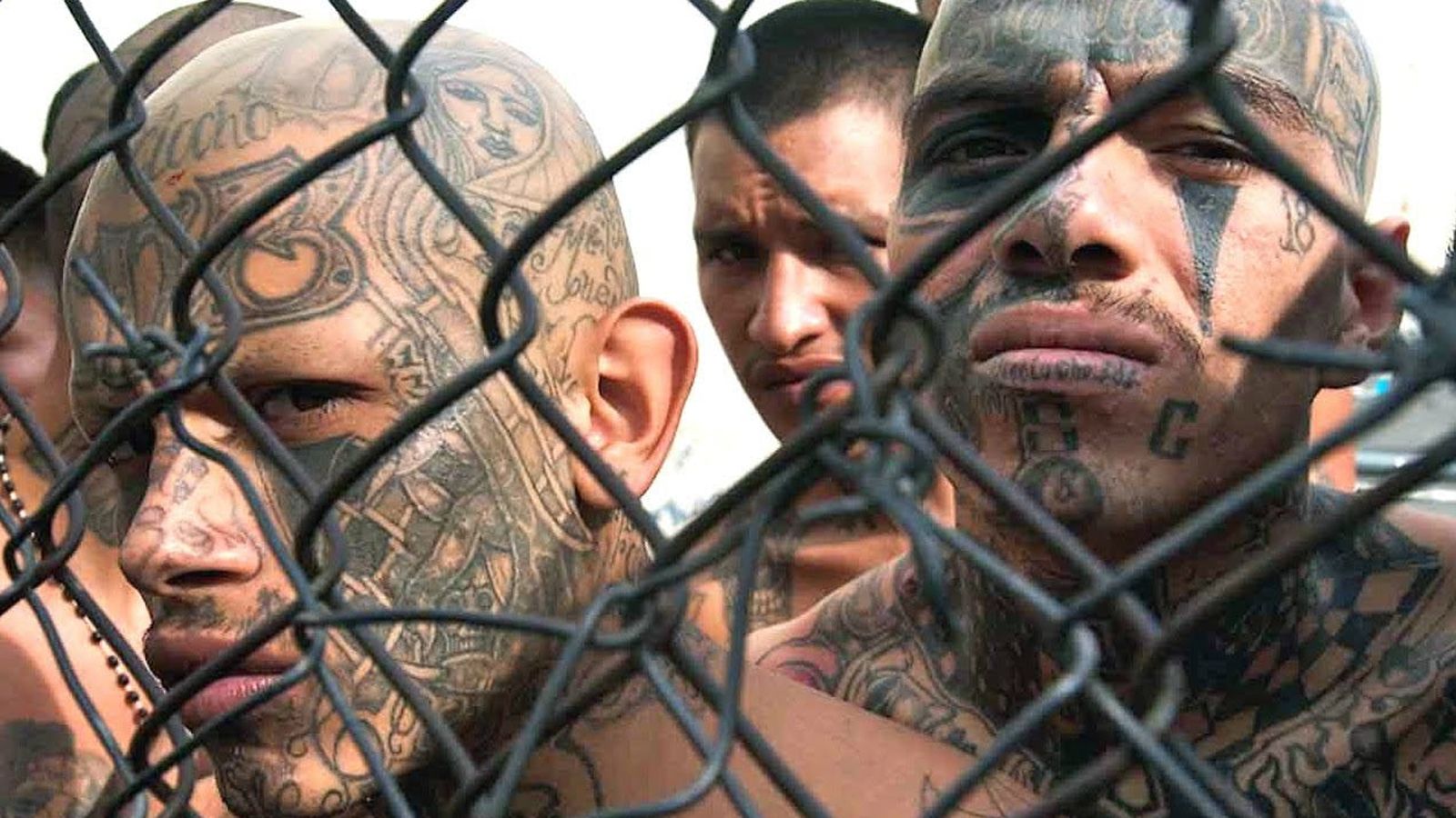 The most dangerous gangs in the world - #Top7 - Steemit.