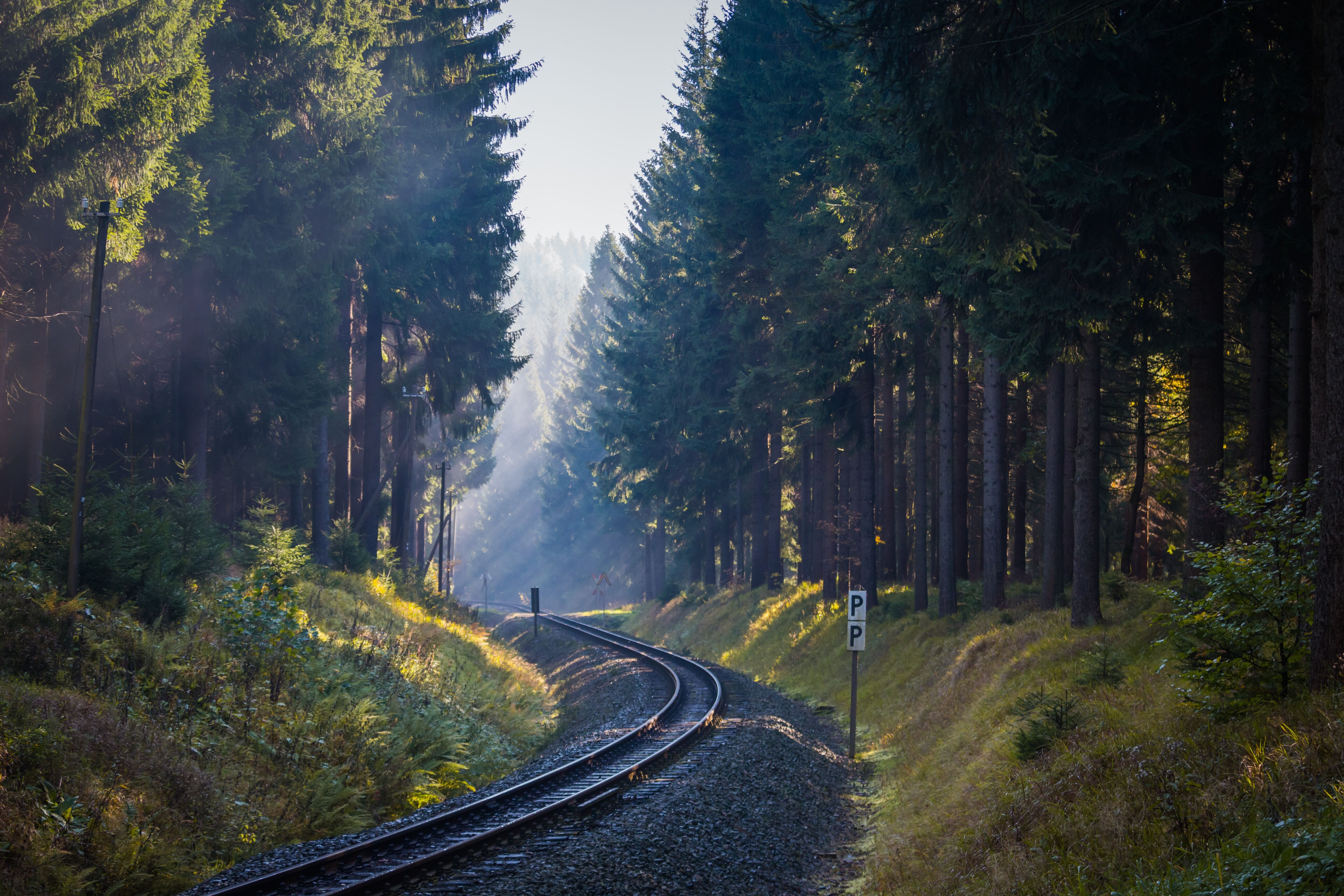 Дорога времени. Track in Forest.