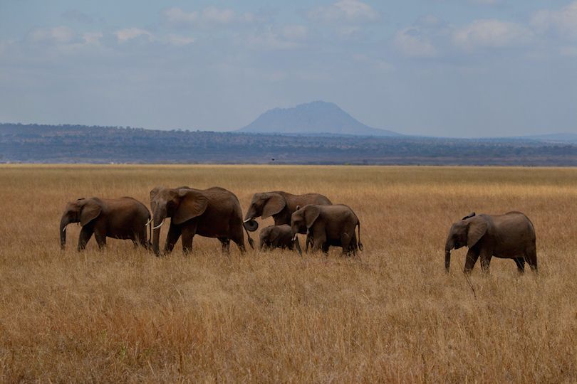 tarangire_national_park.jpg