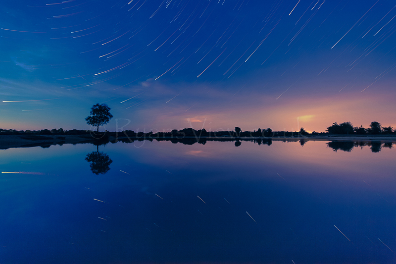 Pink Star Trail.jpg