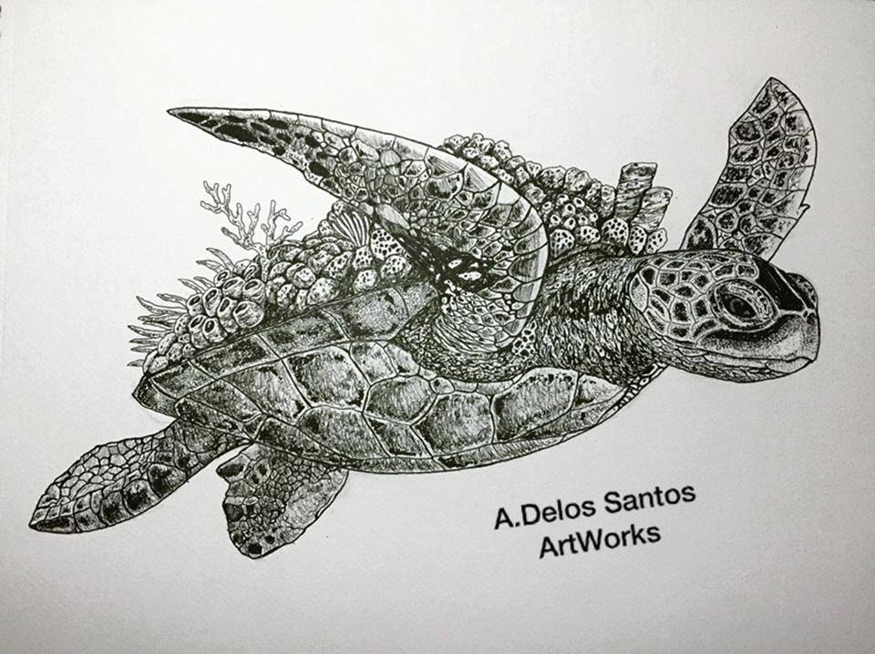 sea turtle art 2.jpg