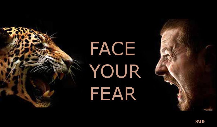 Face-Your-Fear...jpg