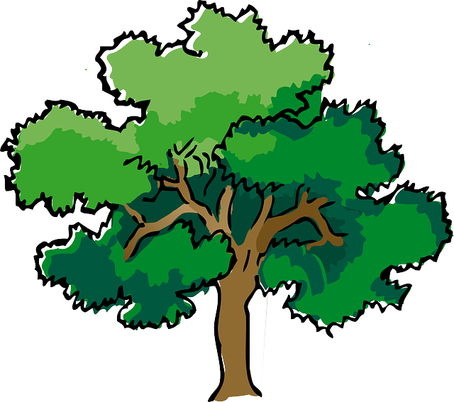 oak-309878_640.png