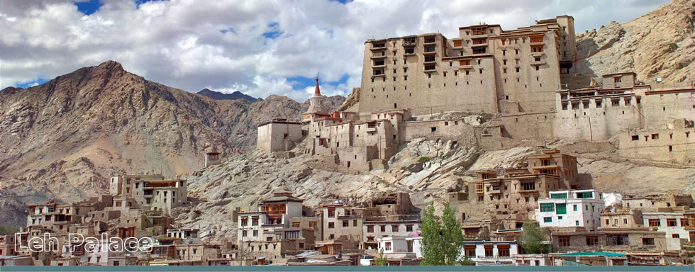 leh6.jpg