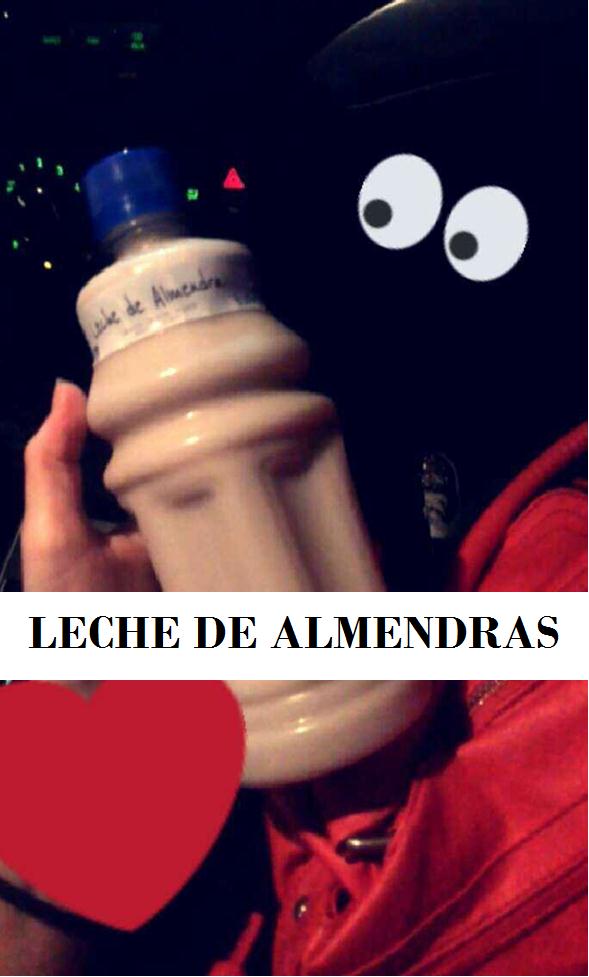 ALMENDRAS MILK.jpg