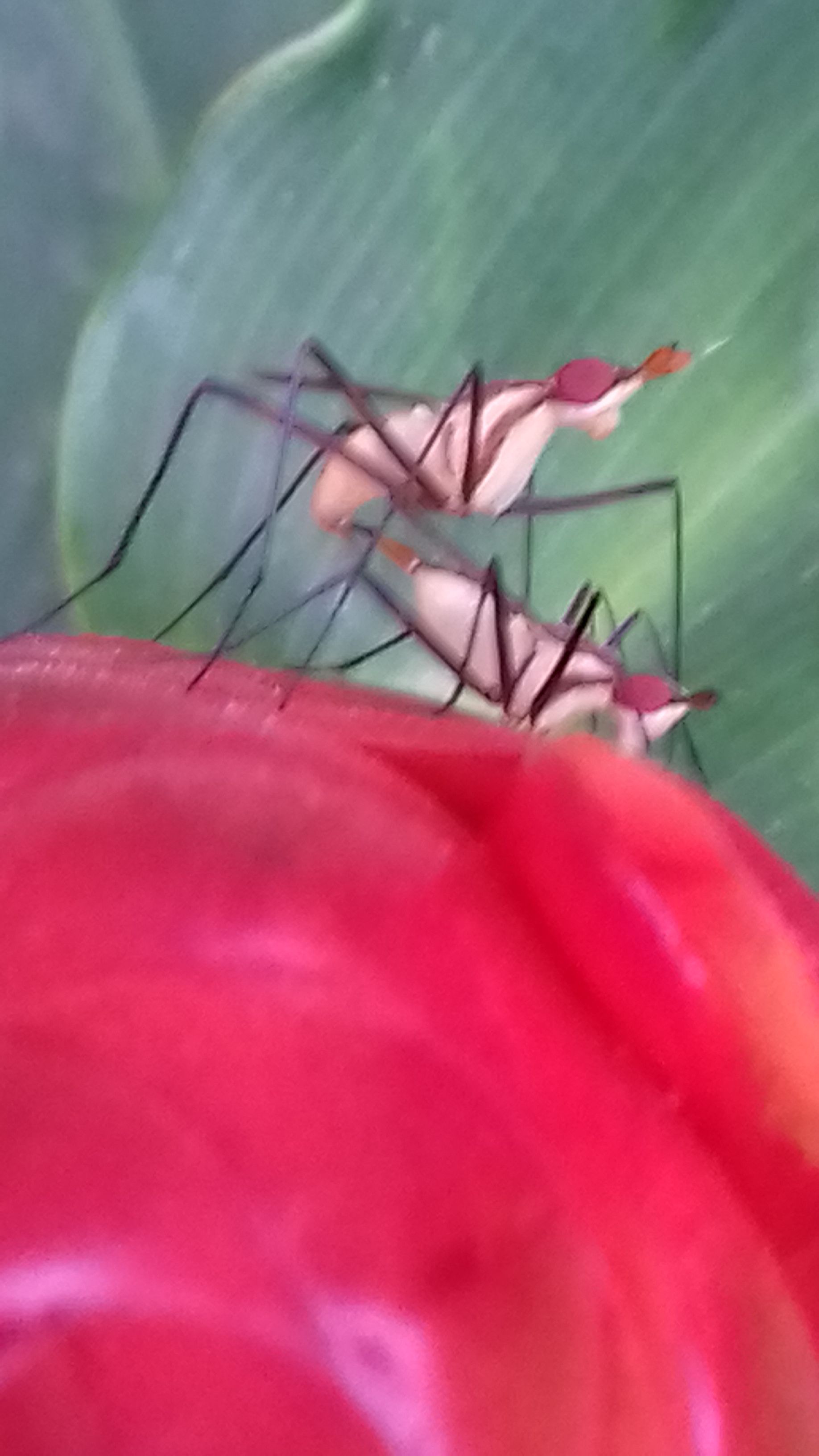 20180207_181351.jpg