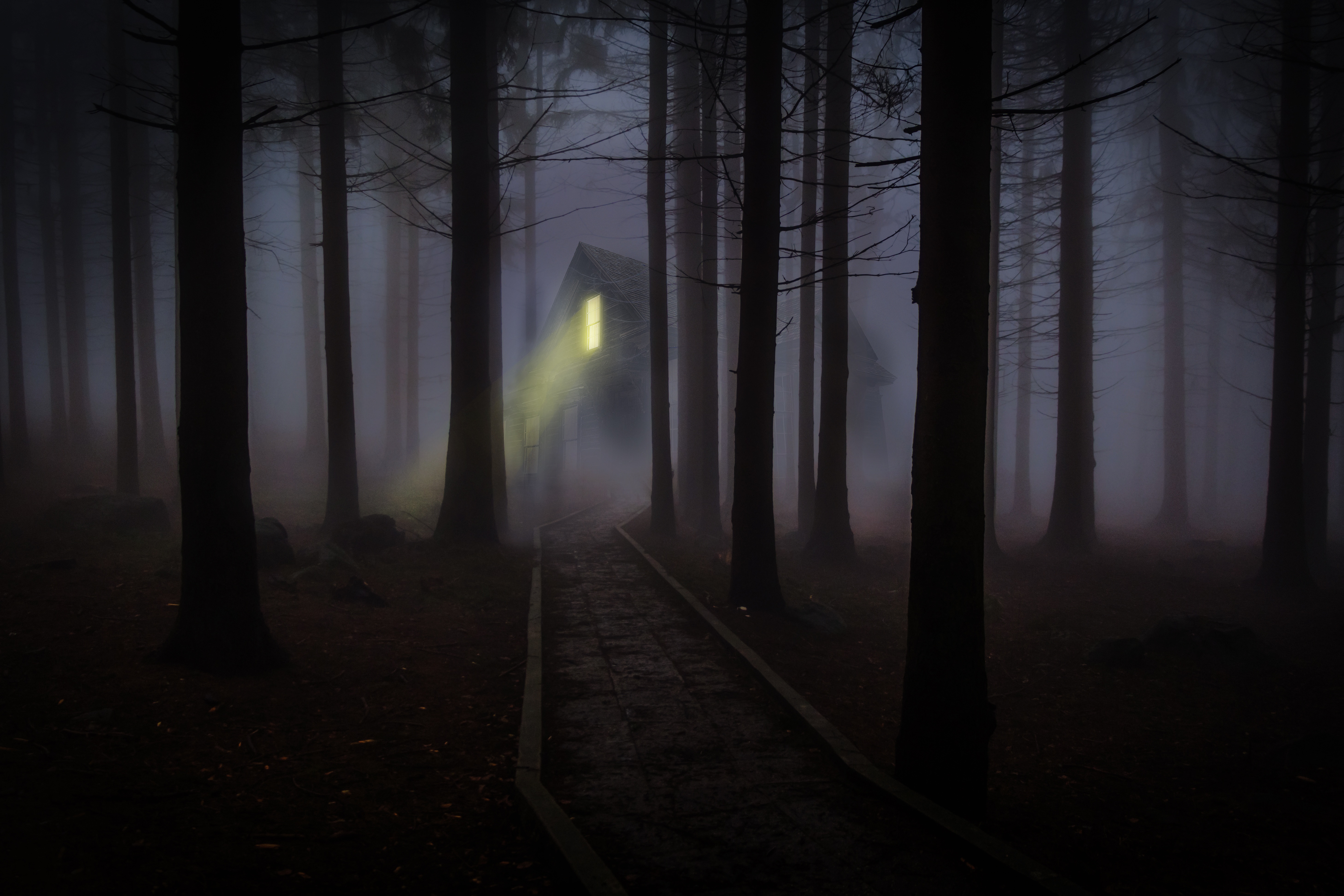 Туман хоррор. SCP туманный лес. Ночной лес. Темный лес. Мрачный лес.