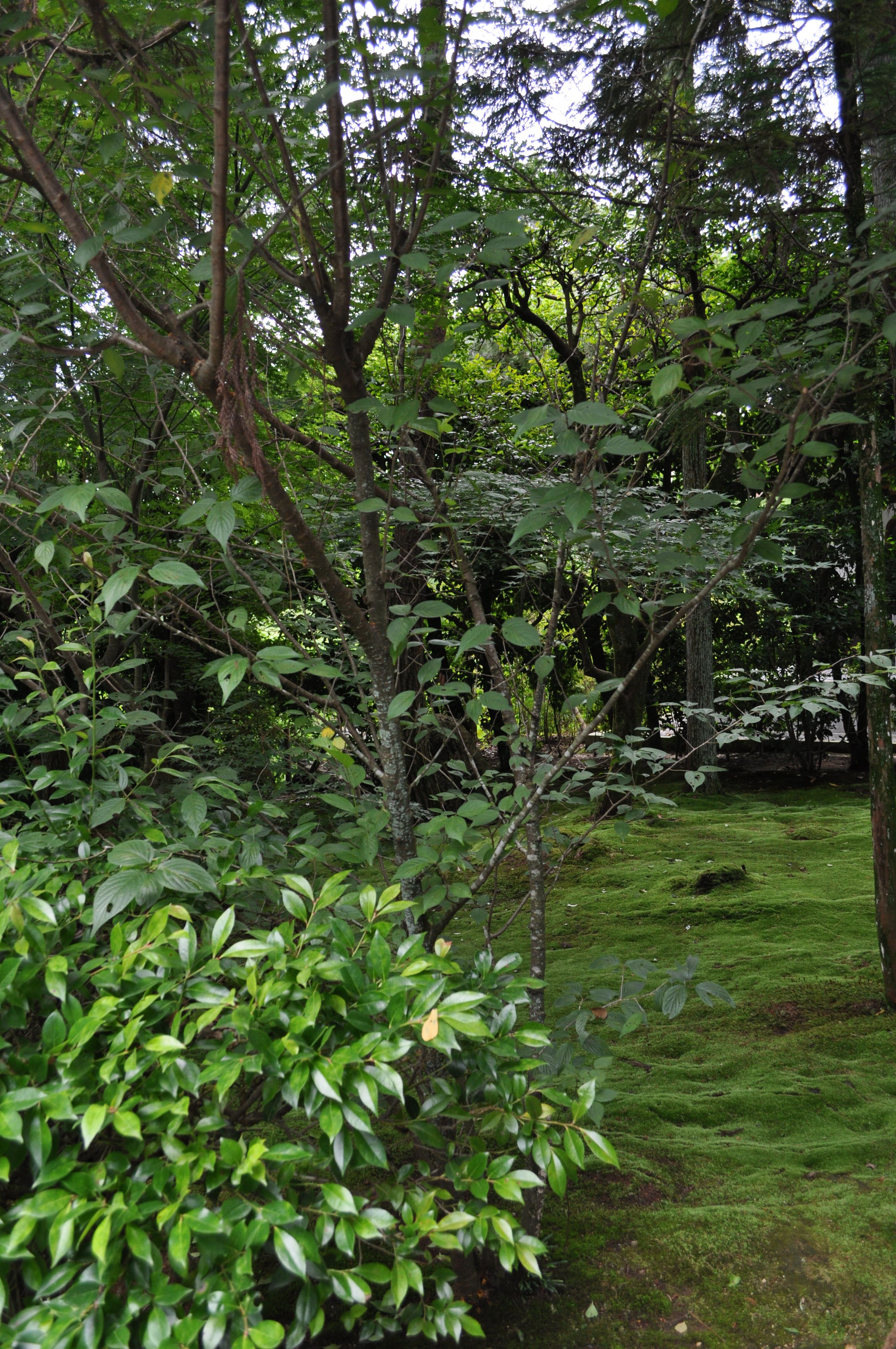 DSC_0465.JPG