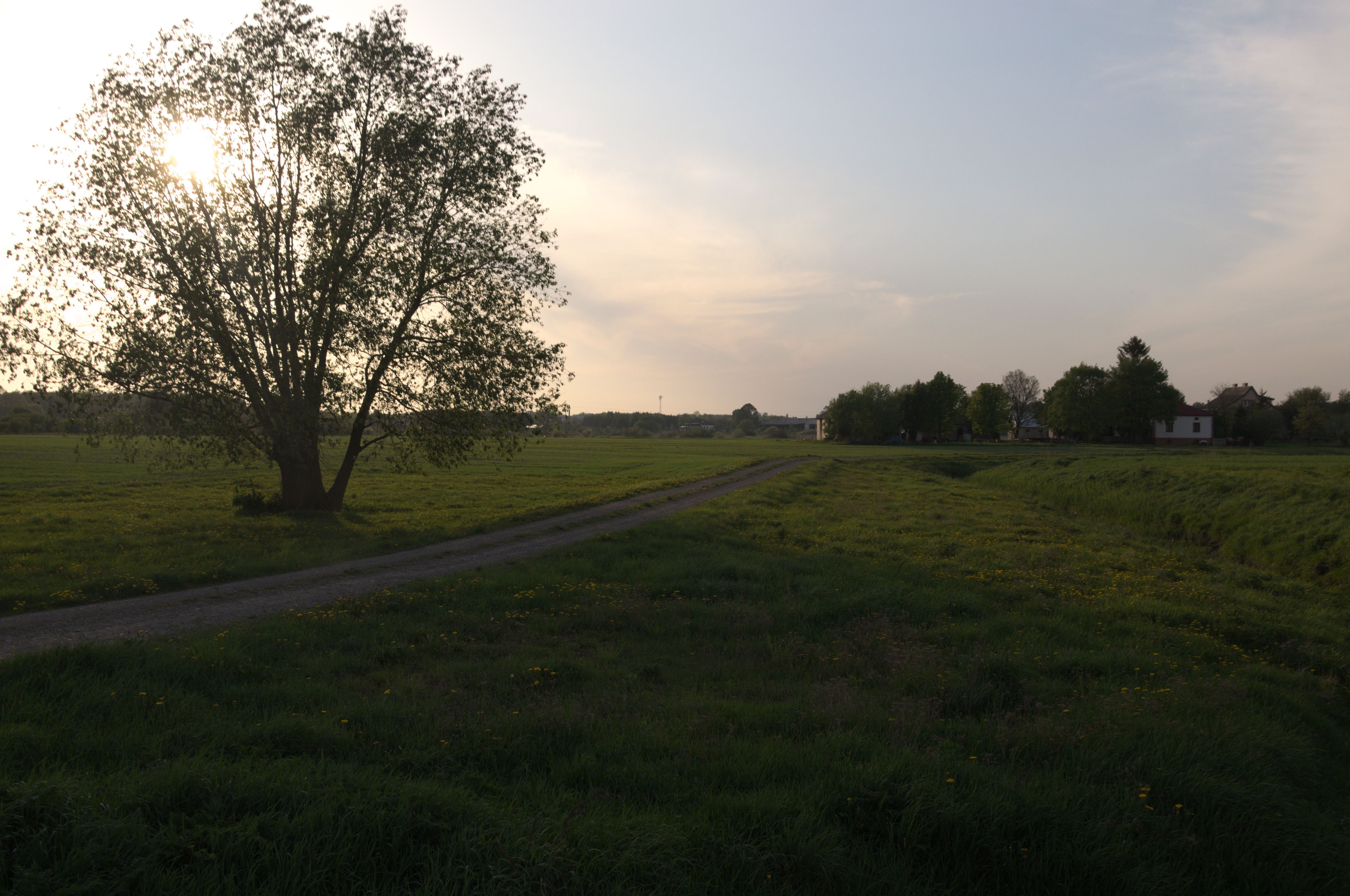 DSC_0665.jpg