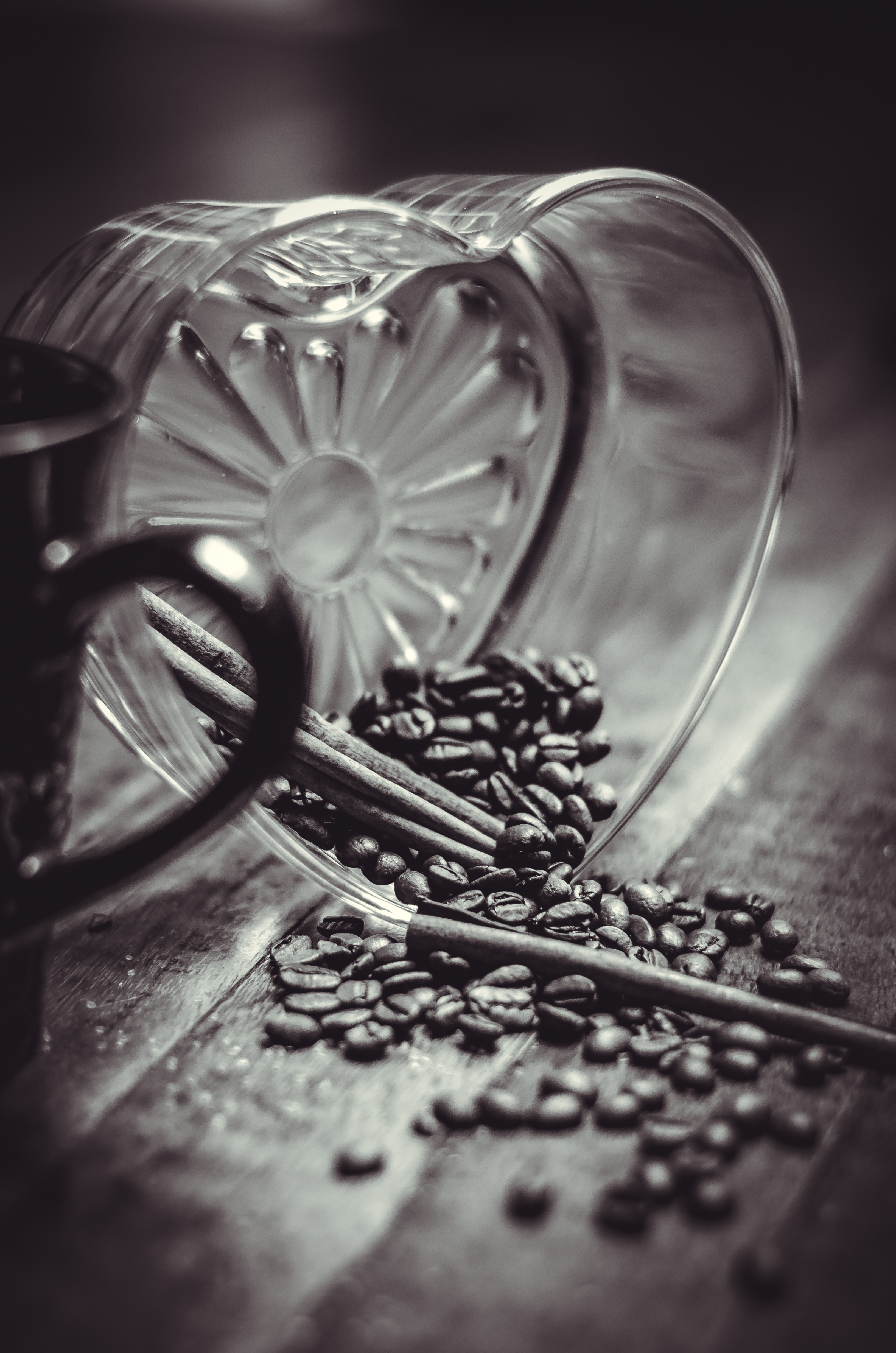 Coffee Fun Photoshoot-16.jpg