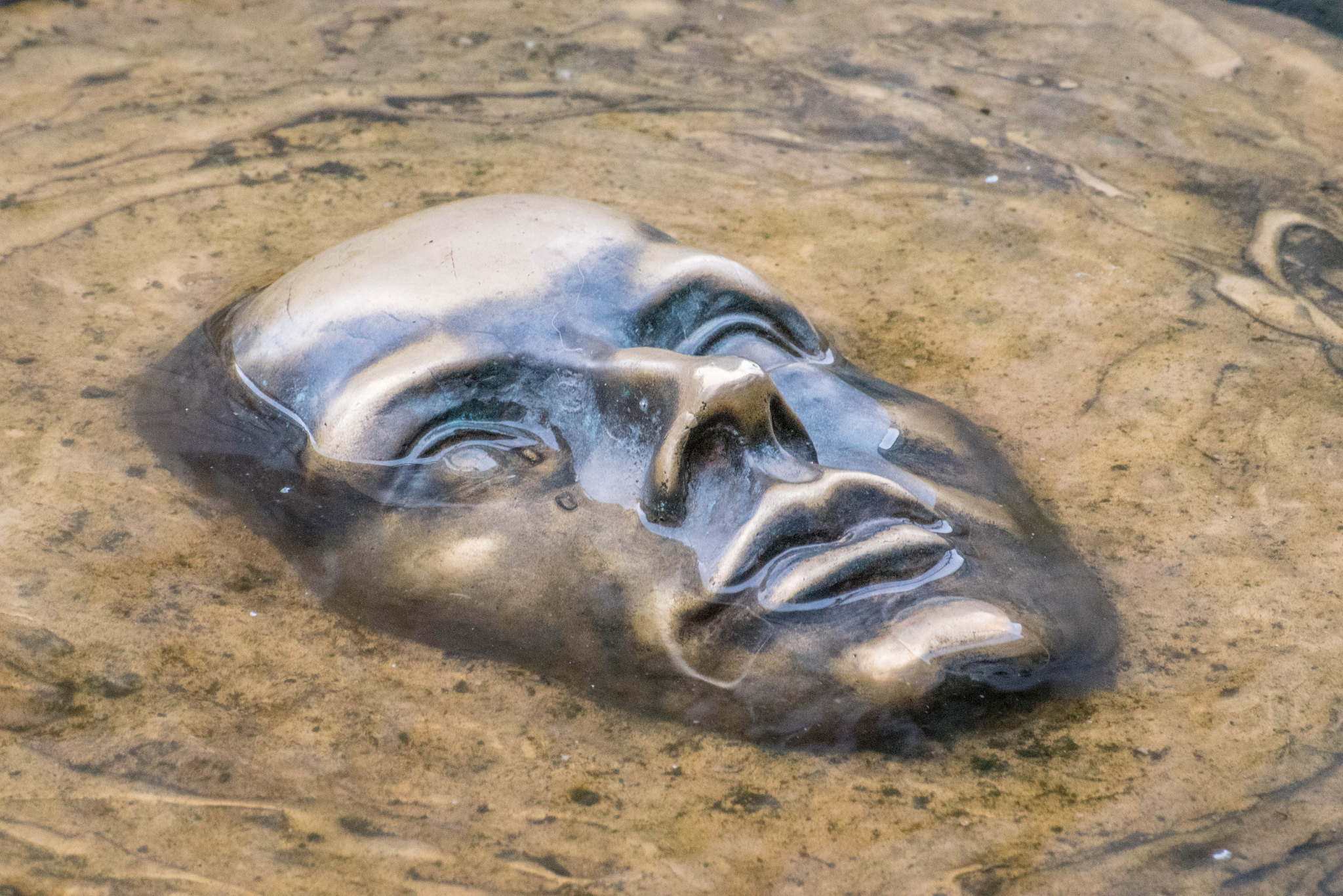 36724653166_5d14adc020_k (1).jpg