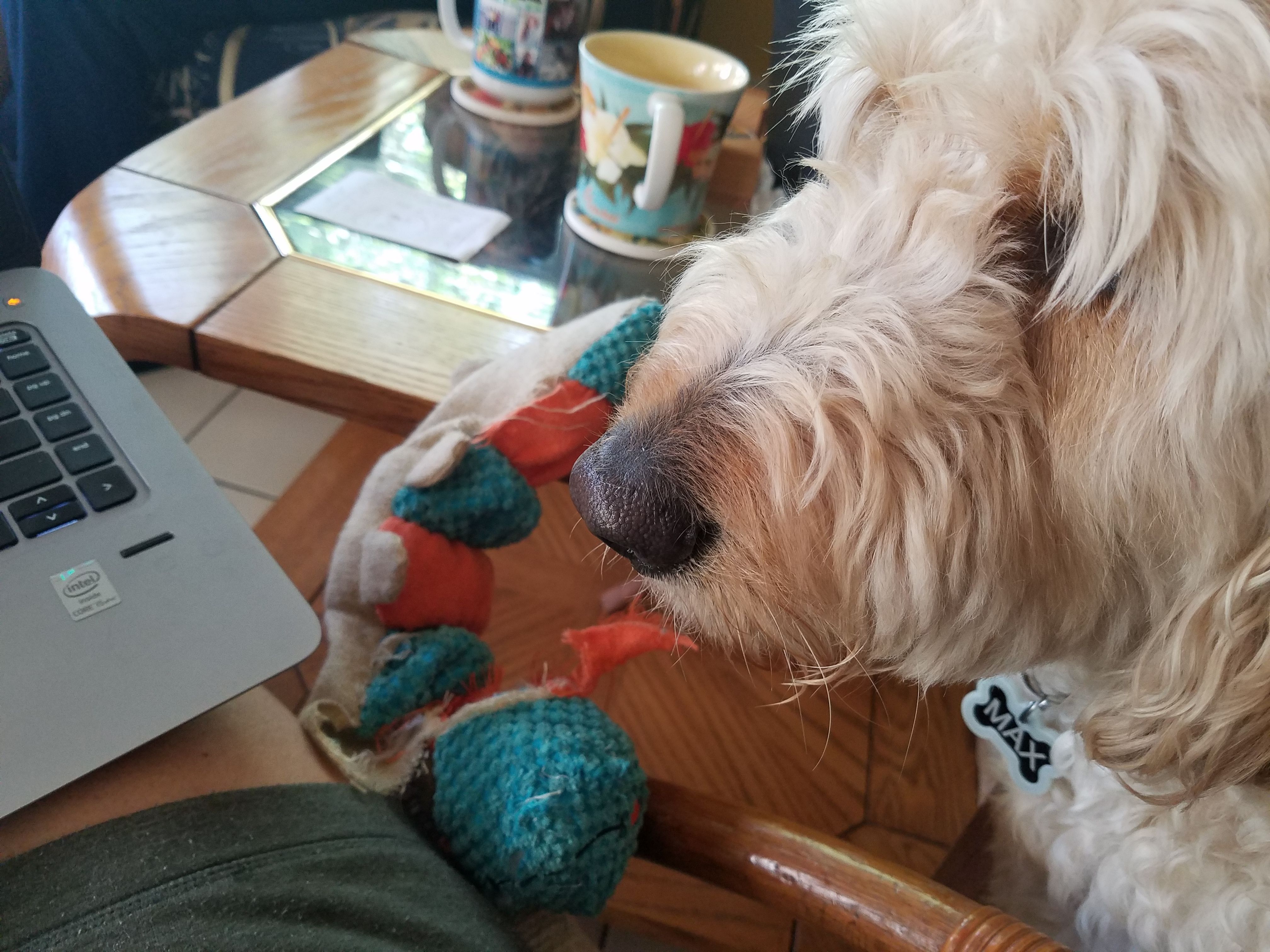 20180407_092226.jpg