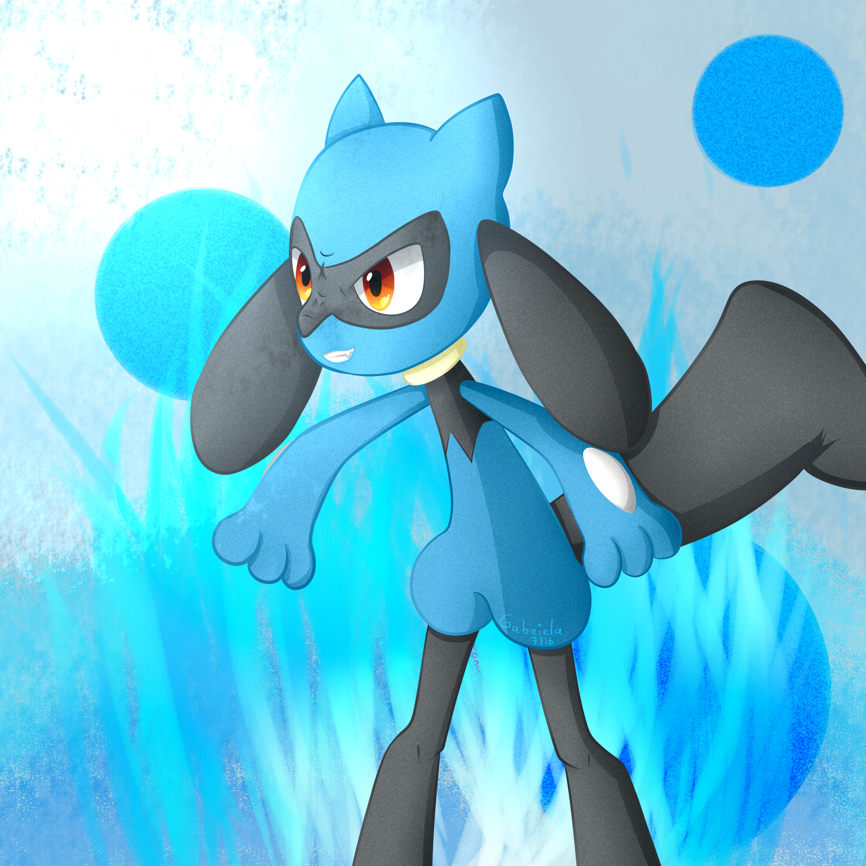 riolu8.jpg