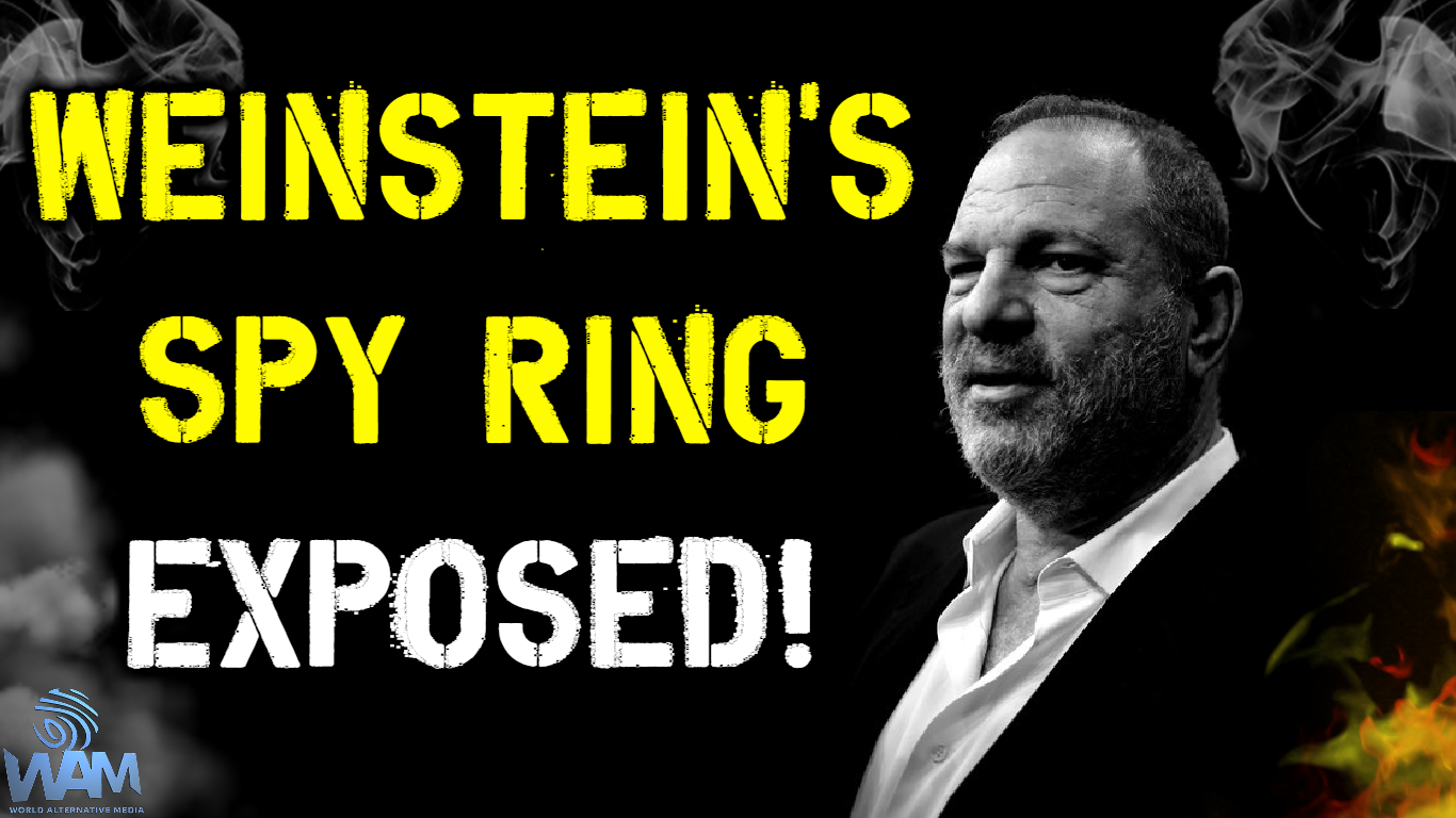 harvey weinstein spy ring exposed thumbnail.png