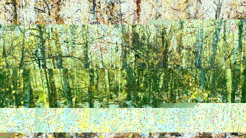 20171003222018_glitch.jpg