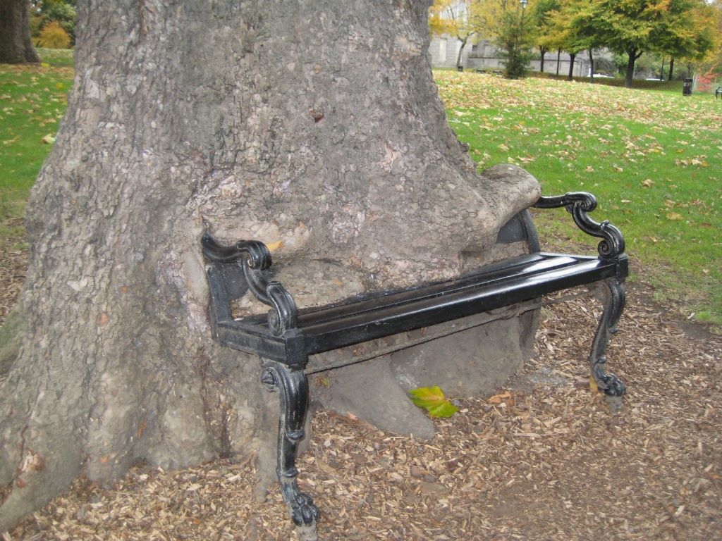 image 3.jpg