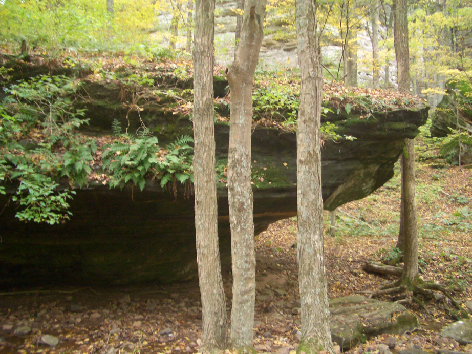 A sandstone rock formation covered in vegitation