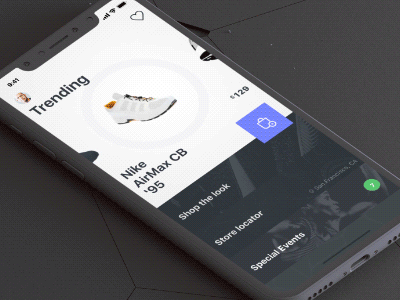 dribbble-shot.gif