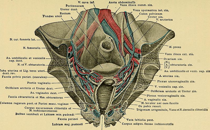 image 1.jpg