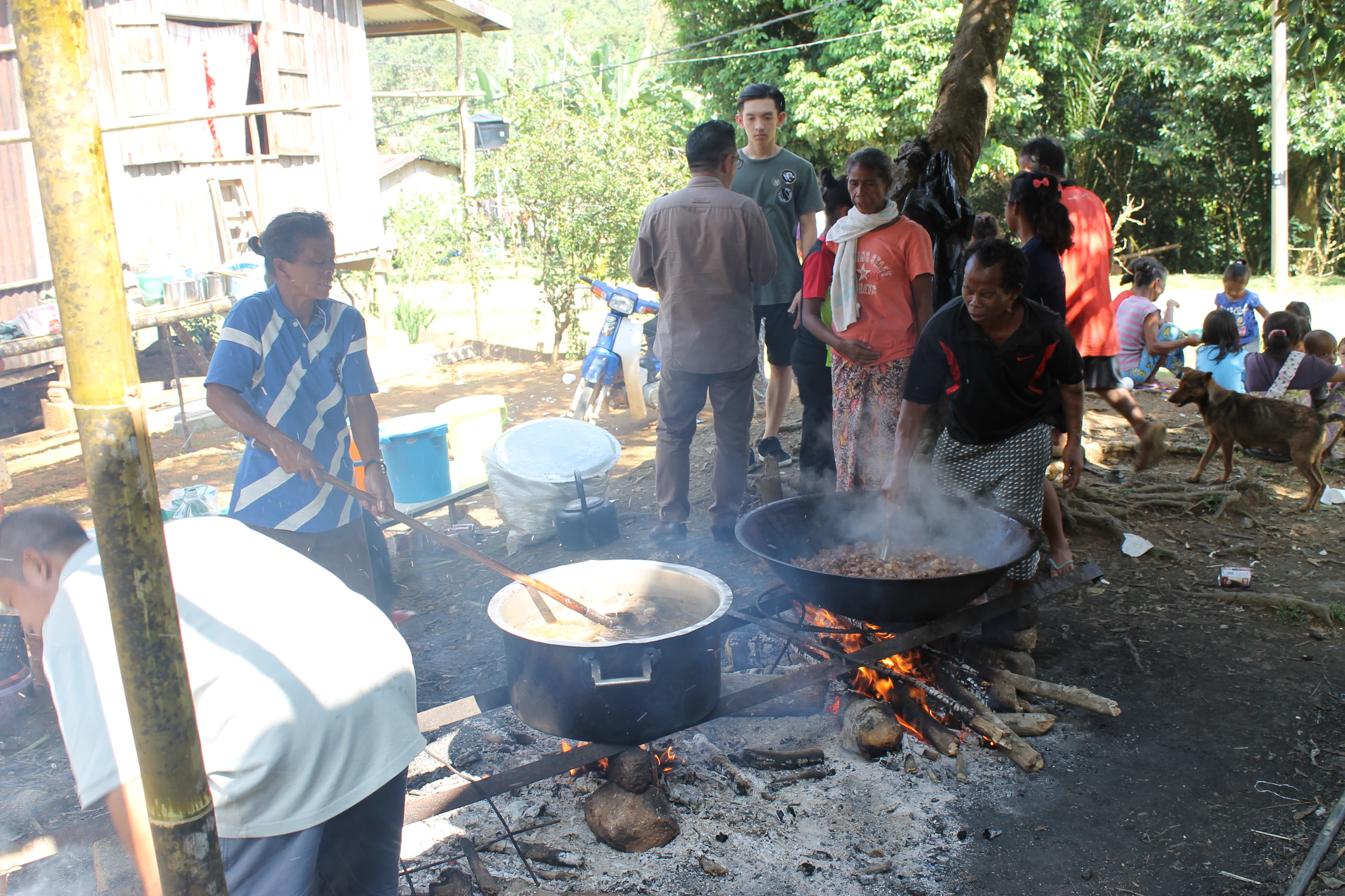 Wild Boar Curry.JPG
