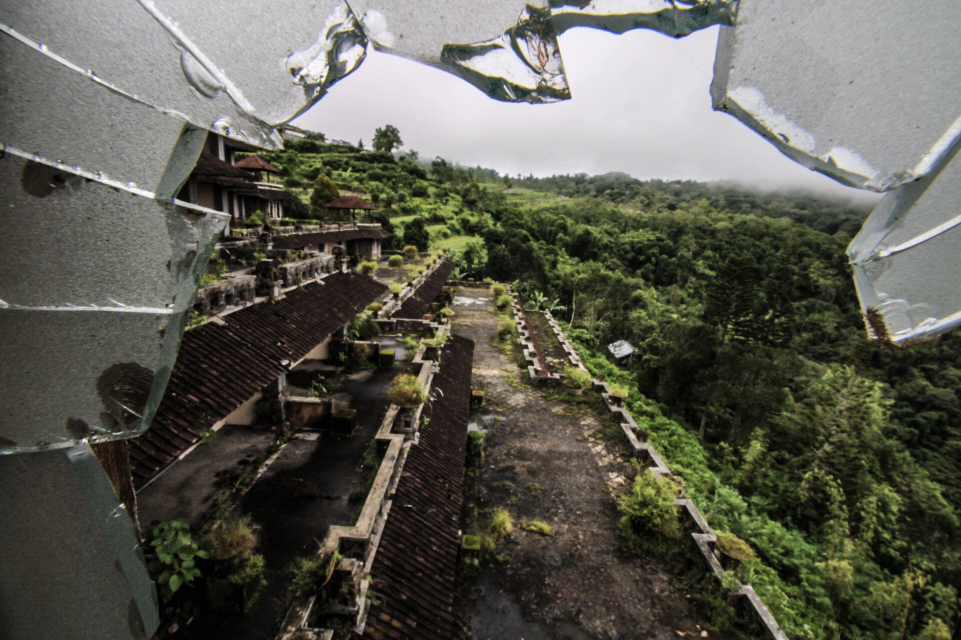 4A1323EA-809A-4F81-917E-296CAF903A25.jpeg