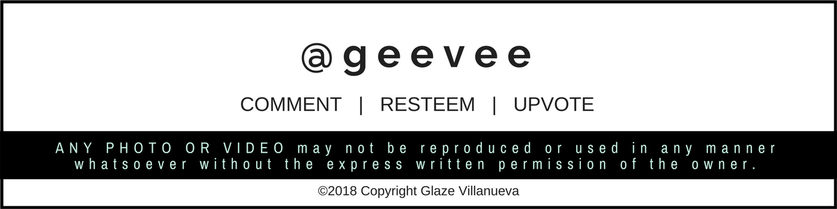 ALL RIGHTS RESERVED.©️2017 Copyright gEVEE.png