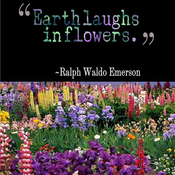 Ralph-Waldo-Emerson-Earth-laughs-in-flowers.jpg