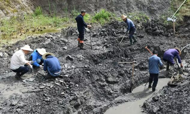 jingzhou_201805040856511nvno.jpg