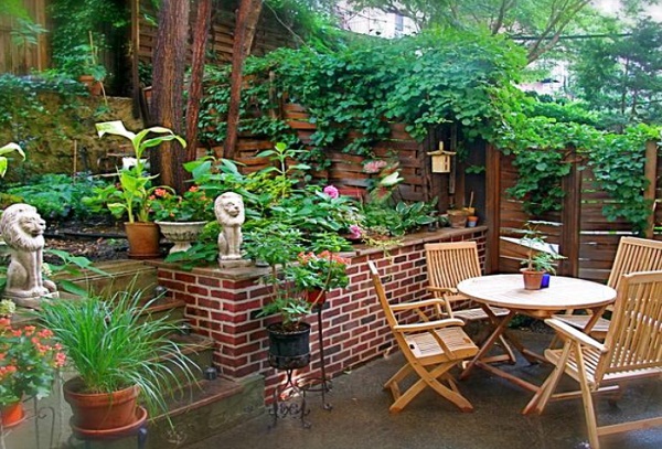 cluttered backyard.jpg