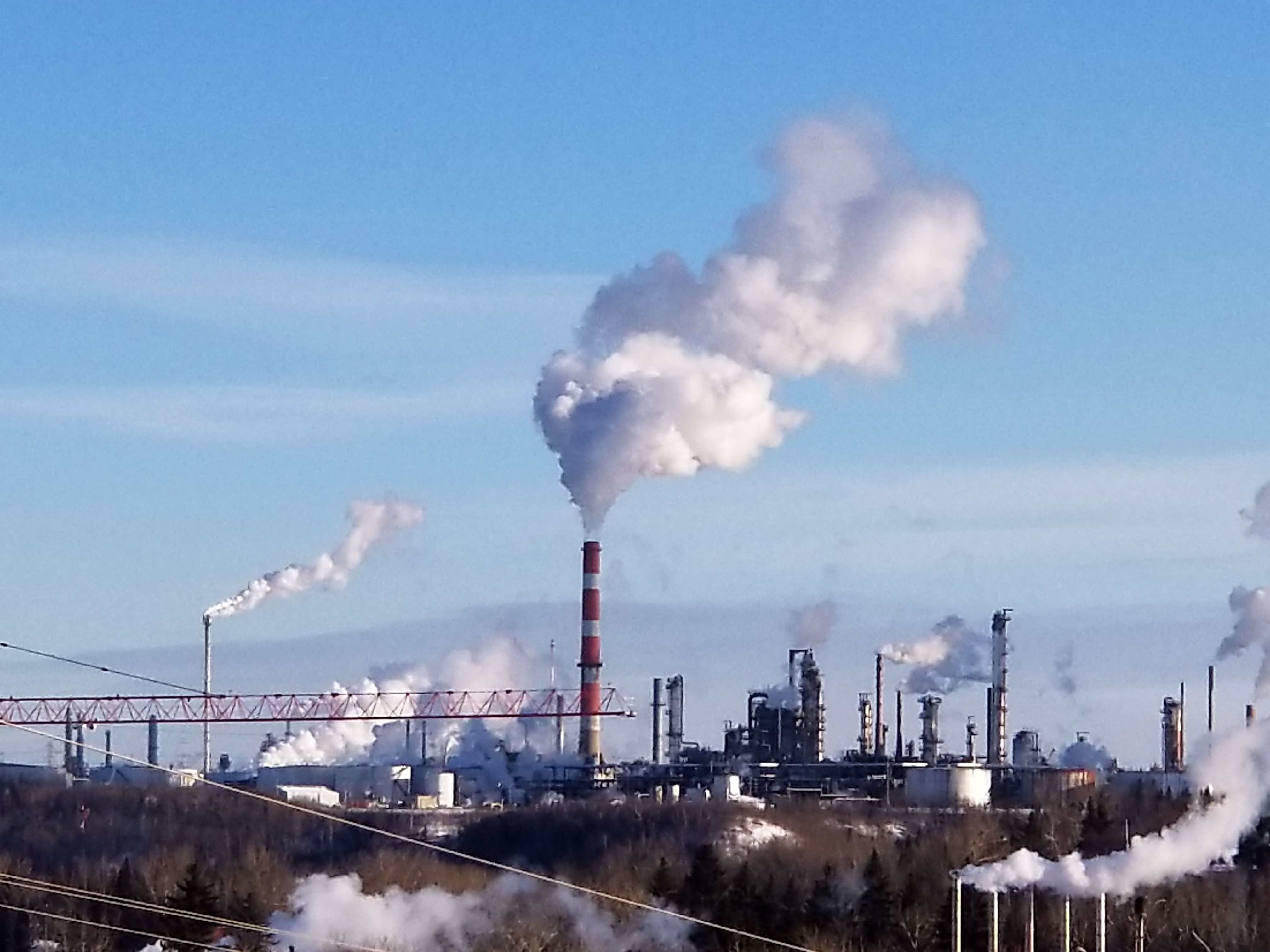 20180220_162606_005.jpg