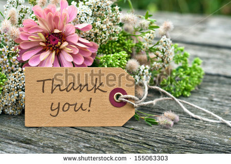 stock-photo-pink-flowers-and-card-with-lettering-thank-you-thank-you-english-155063303.jpg