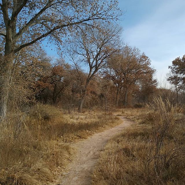 trail-bosque-tingley-park.jpg