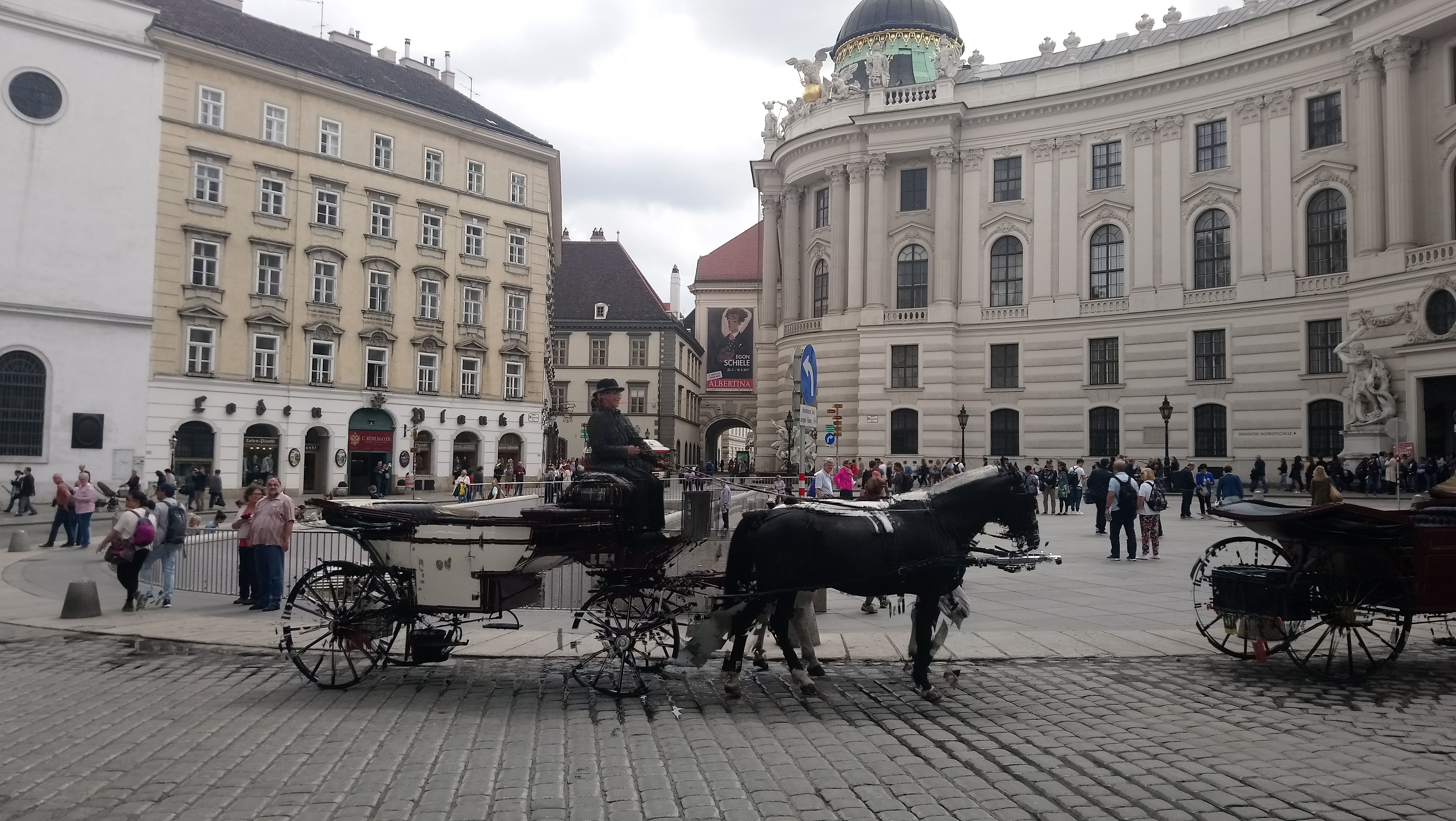 🐎  Horses in Vienna #myeuropaplog series 🐎  維也納的人與馬－歐洲行旅照片記錄系列 🐎